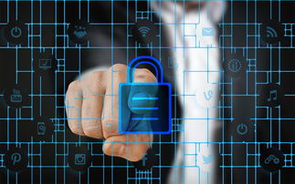 乐鱼体育app网址-赛事风险管理体系，体育赛事风险管理的主要内容