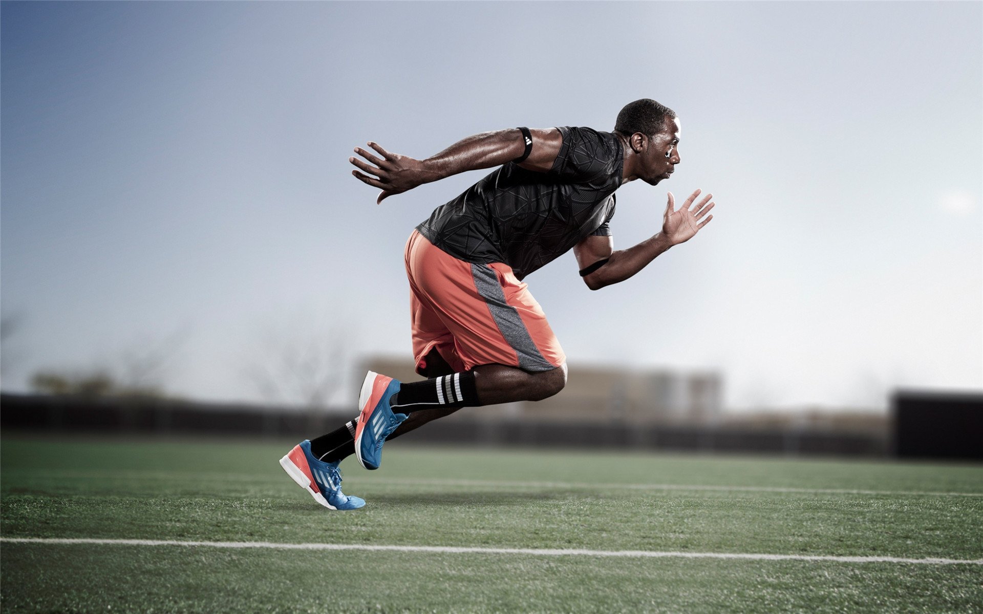 乐鱼体育官网入口-Timgad 举办 3×3 球赛+植树活动，助推社会融合与环保意识，植树节赛