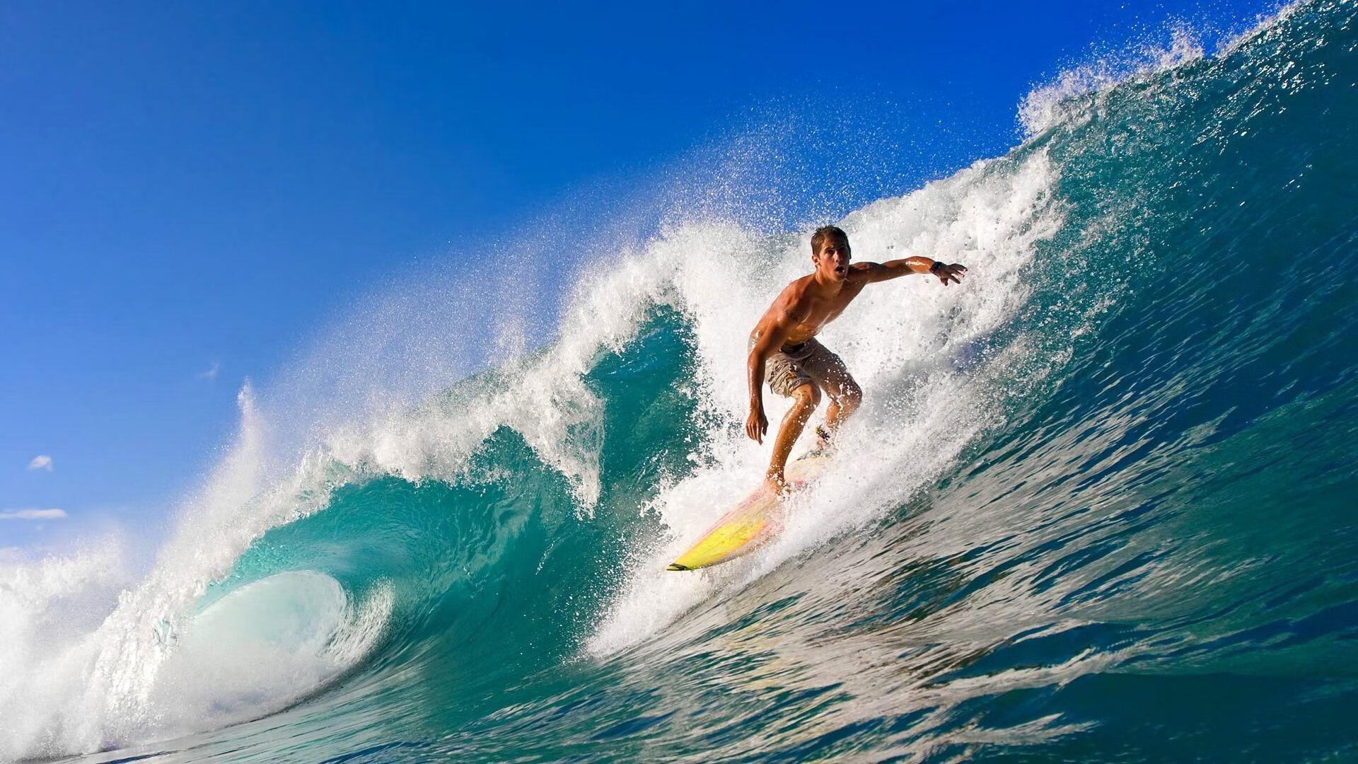 乐鱼体育app官网入口-体育文化节展演民族体育焕发新活力，体育文化艺术节主题