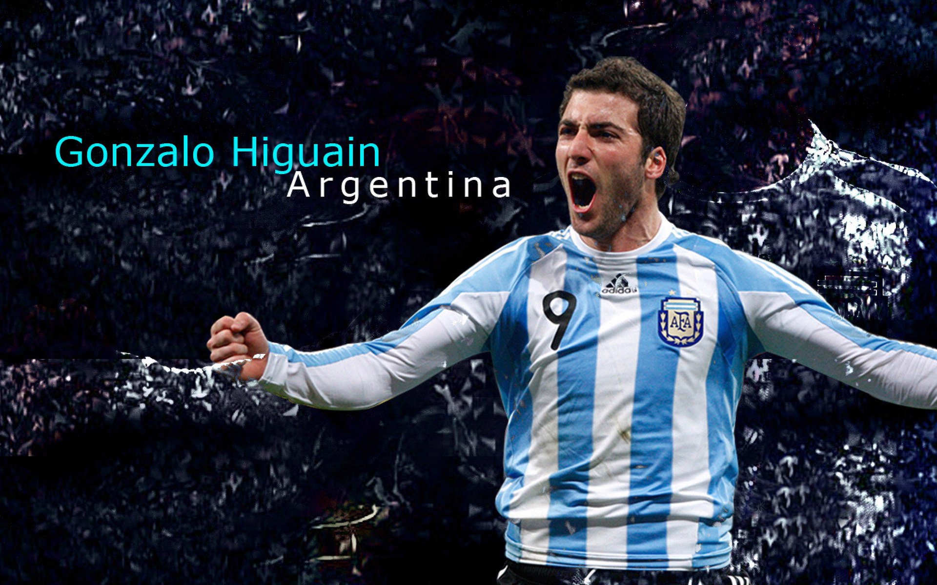 乐鱼app下载-德克斯蝶泳动作流畅获教练称赞